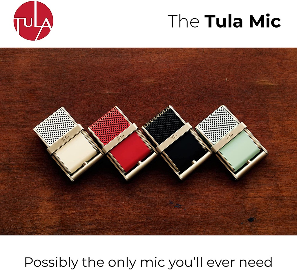 Tula Mic with 8GB Internal Memory, USB-C and 3.5mm Jack Support (Red)