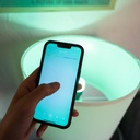 Xiaomi Mi Smart LED Bulb Essential